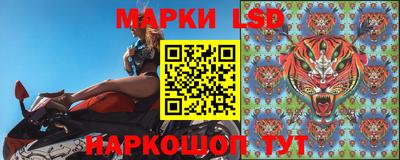 крисы Магадан
