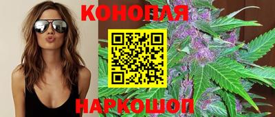 мдпв Михайловск