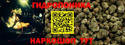 крисы Магадан
