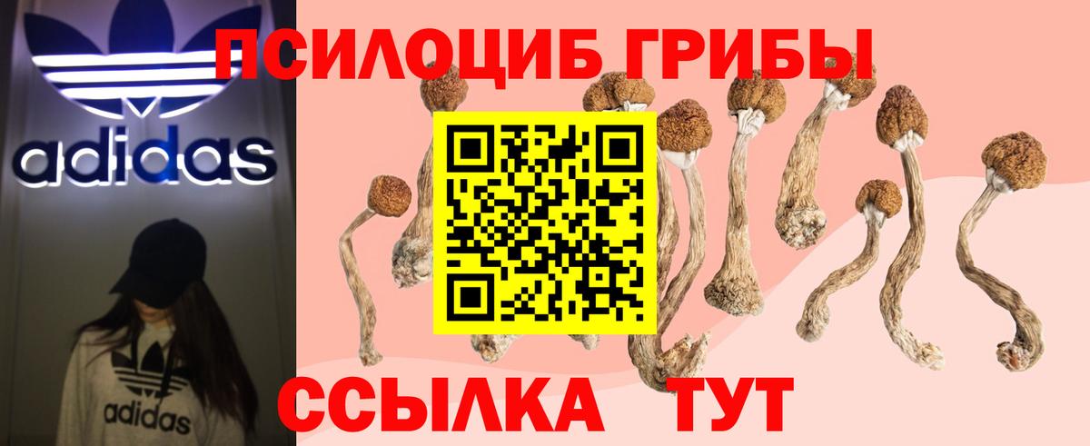 Кострома  Псилоцибиновые грибы прущие грибы  закладки  Вход с VPN 